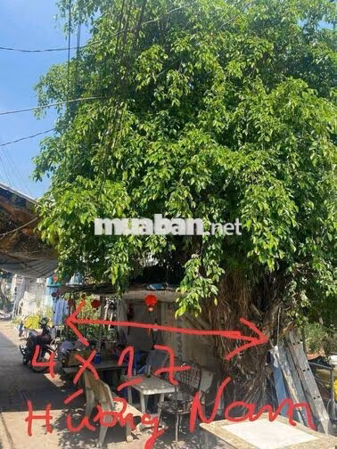 Bán Đất 3 Tỷ 950 Gần Chợ Hồ Ngọc Lãm 