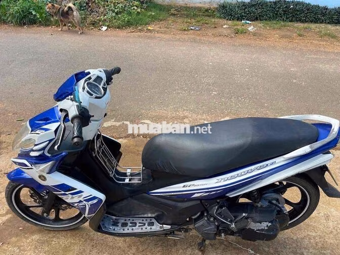 Yamaha Nouvo 5 Trắng, Xanh