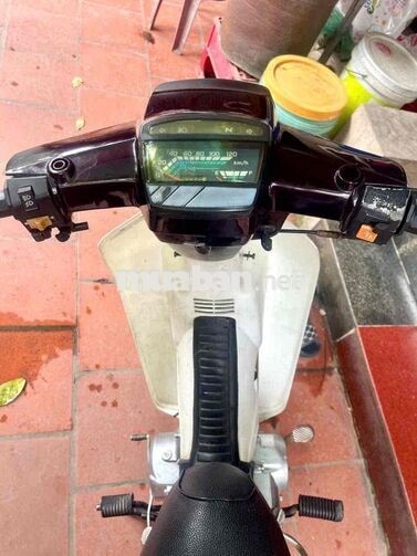Honda Dream 2024 Đỏ Trắng