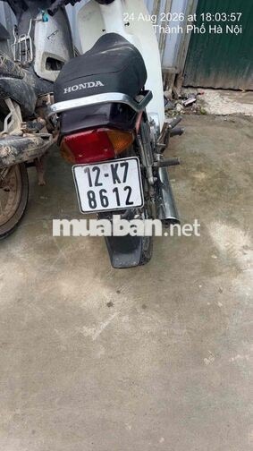 Honda Dream 2024 Đỏ Trắng