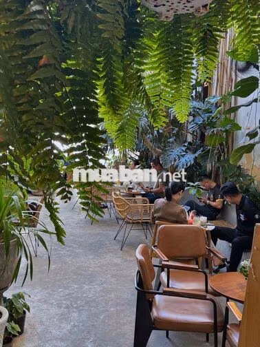 Cho Thuê Mặt Bằng Hoa Lan. Phú Nhuận Chỉ 8,2 Triệu.