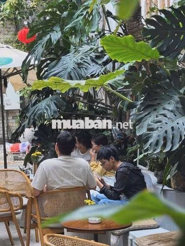 Cho Thuê Mặt Bằng Hoa Lan. Phú Nhuận Chỉ 8,2 Triệu.