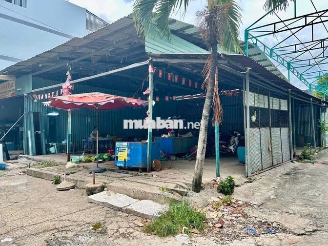 - Cho thuê mặt bằng Ngang 11m, Dài 13m . Mặt tiền đường T1 - Phường Tâ