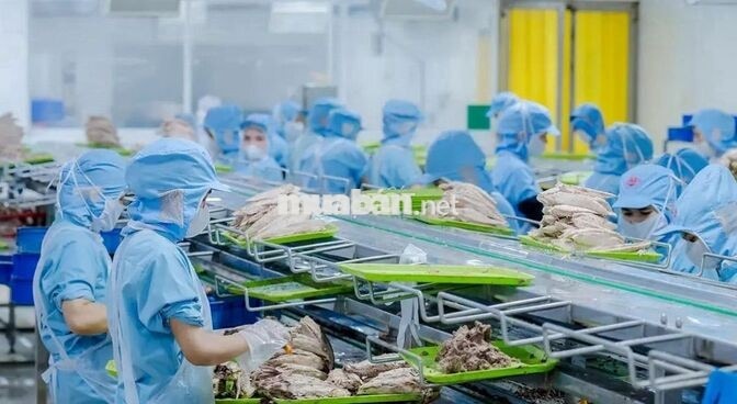 THƯỞNG NHẬN VIỆC 200K - KHÔNG CẦN KINH NGHIỆM