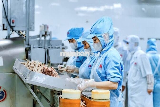 THƯỞNG NHẬN VIỆC 200K - KHÔNG CẦN KINH NGHIỆM