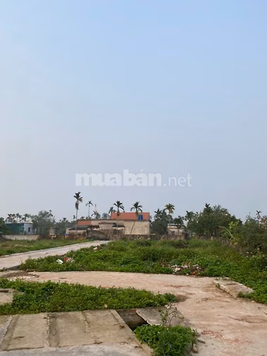 Cần bán lô đất thôn Trần Phú, xã Bình Định, Kiến xương, TB-HY