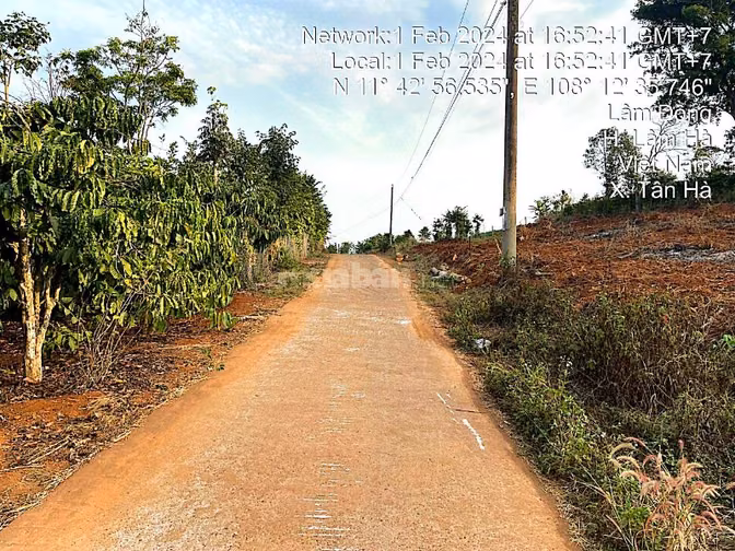 Công ty Đấu giá hợp danh Lam Sơn Sài Gòn thông báo đấu giá tài sản