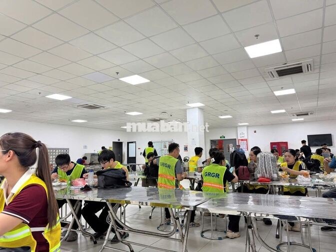 NV KHO PHÂN LOẠI SHOPEE TẠI THUẬN ĐẠO, LONG AN