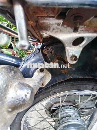 Honda 50 .81 bst 81 có ₫ề hàng hiếm 