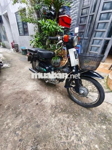 Honda 50 .81 bst 81 có ₫ề hàng hiếm 
