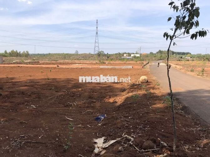 Đất vườn Đồng Nai 1115m2, ra sân bay Long Thành 18 phút, chỉ 6,5 tỷ