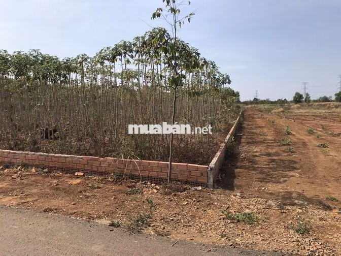Đất vườn Đồng Nai 1115m2, ra sân bay Long Thành 18 phút, chỉ 6,5 tỷ