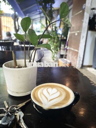 Tuyển nhân viên cà phê & bếp bánh An Thượng