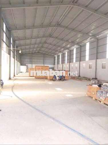 KHO XƯỞNG GIÁ TỐT ( 8 x 50m2 ) NGUYỄN HỮU TRÍ