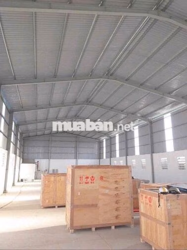 KHO XƯỞNG GIÁ TỐT ( 8 x 50m2 ) NGUYỄN HỮU TRÍ
