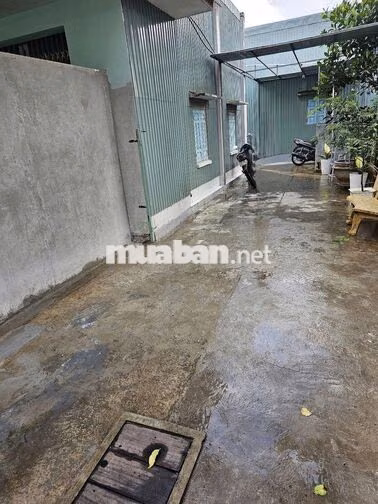 Cần bán đất thổ cư đường Quang Trung - phù hợp đầu tư, kinh doanh