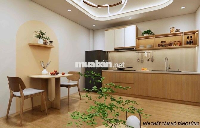 CĂN HỘ MỚI KHU DƯƠNG ĐÌNH NGHỆ,10PN,11PN