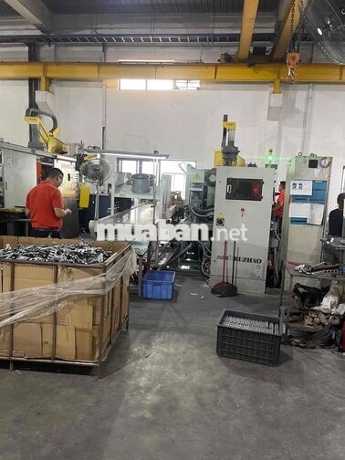 Tuyển lao động đóng gói đồ chơi trẻ em