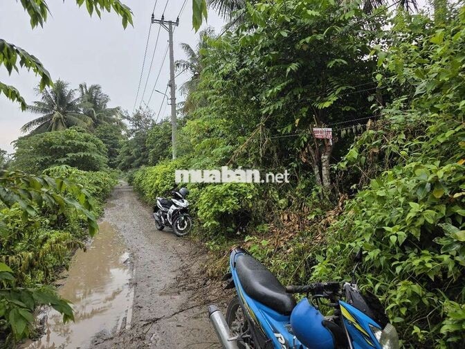 BÁN ĐẤT MẶT TIỀN ĐƯỜNG KÊNH CẦU XÉO