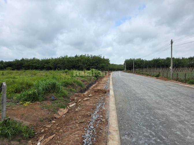 Bán đất mặt tiền đường nhựa 874.5m2, pháp lý đầy đủ, giá tốt