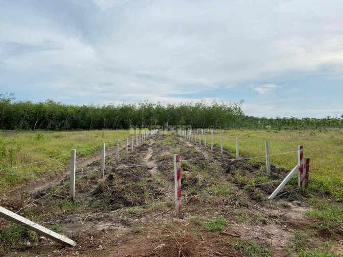 Bán đất mặt tiền đường nhựa 874.5m2, pháp lý đầy đủ, giá tốt