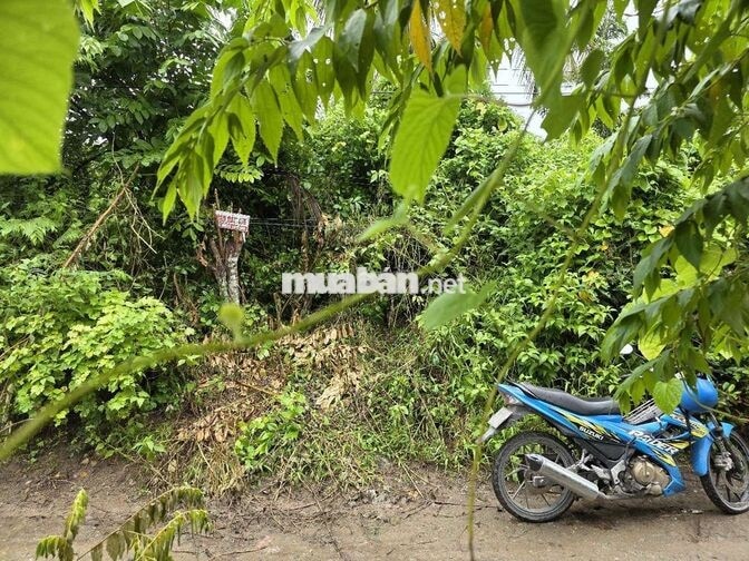BÁN ĐẤT MẶT TIỀN ĐƯỜNG KÊNH CẦU XÉO