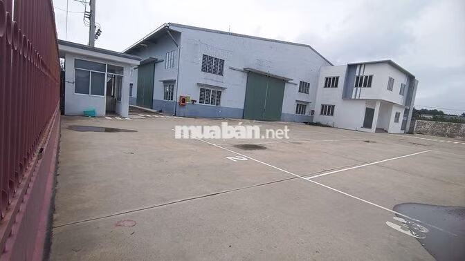 Cho thuê xưởng trong kcn kim huy/ thủ dầu một. 4000m2. Giá 5 đô/1m2