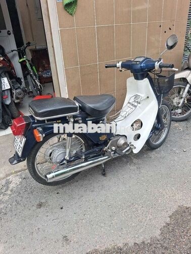 Honda Cub 50cc Xanh trắng Học sinh