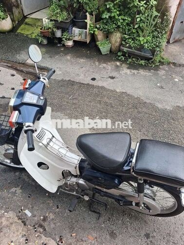 Honda Cub 50cc Xanh trắng Học sinh