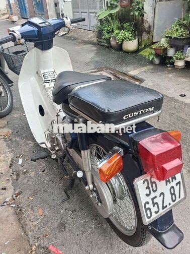 Honda Cub 50cc Xanh trắng Học sinh