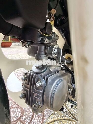 Honda Super Cub 81/86 50cc Kim Vàng Giọt Lệ