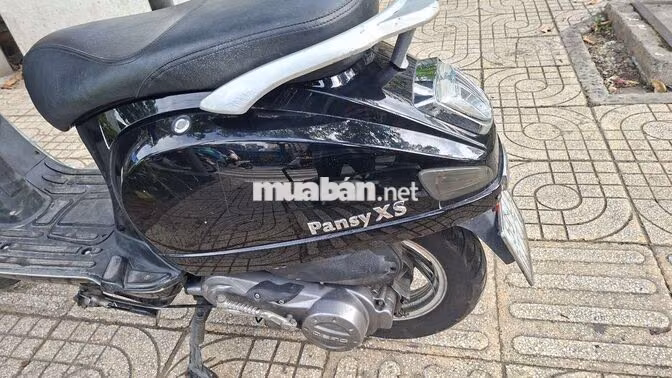 Xe tay ga Pansy XS 50cc Đen