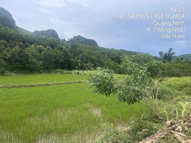Thông báo đấu giá tài sản của ông Đào Quang Sơn bà Nguyễn Thị Huyền 