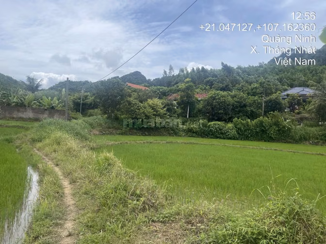 Thông báo đấu giá tài sản của ông Đào Quang Sơn bà Nguyễn Thị Huyền 