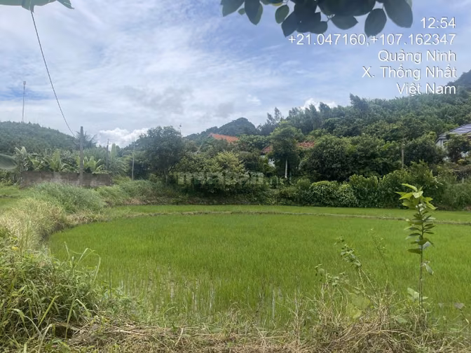 Thông báo đấu giá tài sản của ông Đào Quang Sơn bà Nguyễn Thị Huyền 