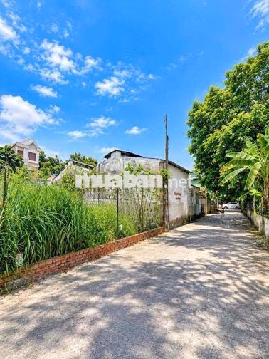 🔥 ĐẤT 2 MẶT TIỀN – NGANG 9M – 240M² – TAM HIỆP – GIÁ 7,999 TỶ
