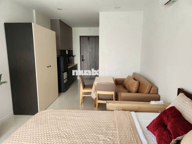 Chính chủ cho thuê căn hộ Lavida Plus Q7- 27m2- 12 triệu/tháng. Ở Liền
