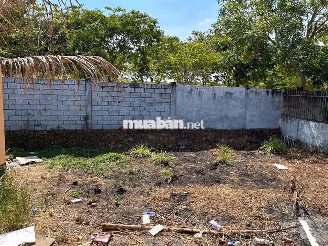NHÀ VƯỜN 520m  NGAY CẦU VƯỢT CT BIÊN HOÀ -VŨNG TÀU ( Đoạn Châu Pha)