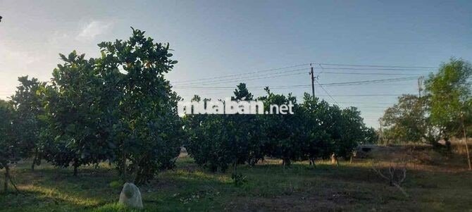 Đất mặt tiền đường bê tông 16m , gần quốc lộ 55, di chuyển tầm 3ph xe