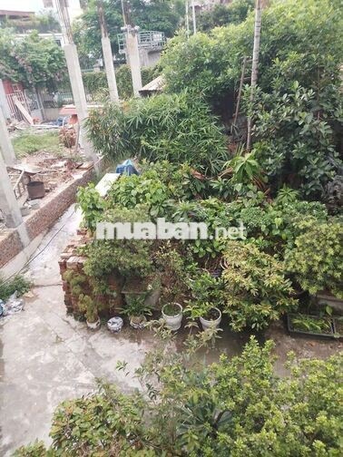 Chính chủ cần bán một mảnh đất 407m2 đất tại Vạn kiếp - Hồng Bàng