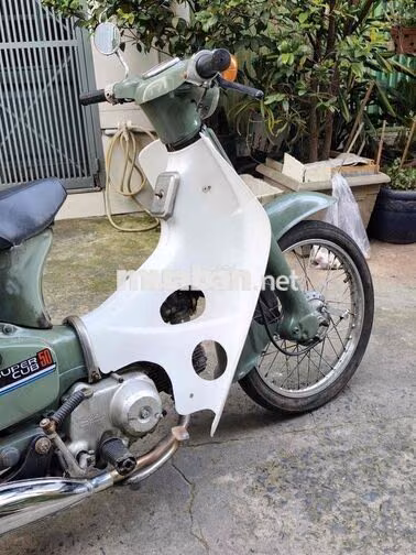 Honda Super Cub 50cc Xanh lá, Trắng