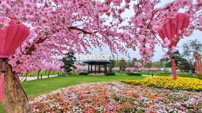 Tổng hợp căn hộ cho thuê tại Vinhomes Smart City