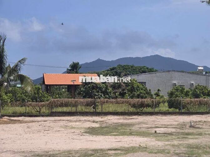 BÁN ĐẤT VEN BIỂN PHƯỚC HẢI 293M² NỞ HẬU CHỦ 2,3 TỶ