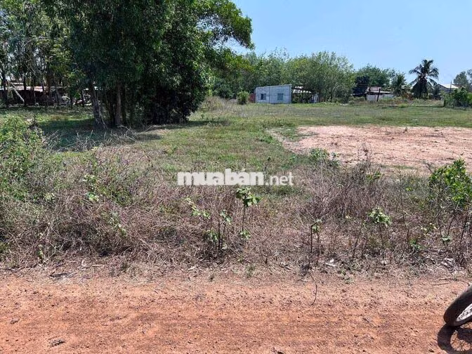 🔥 CHÍNH CHỦ BÁN ĐẤT 340M² – HẬU DÀI – SẴN THỔ CƯ XÂY DỰNG ĐƯỢC NGAY –