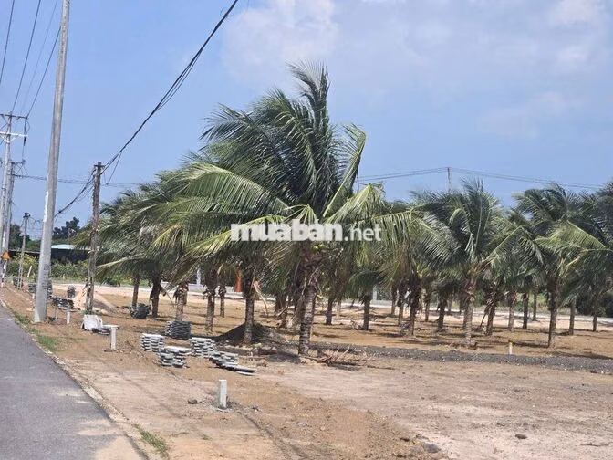 BÁN ĐẤT VEN BIỂN PHƯỚC HẢI 293M² NỞ HẬU CHỦ 2,3 TỶ