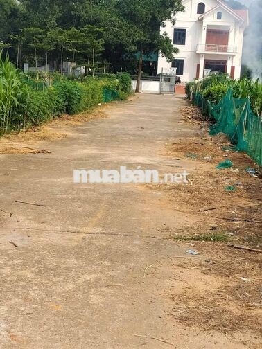 ĐẤT NỀN 120m2, ĐƯỜNG 12M, BĂNG 4 KHU DC ĐỒNG MỒNG XUNG, THANH ĐÌNH, VT