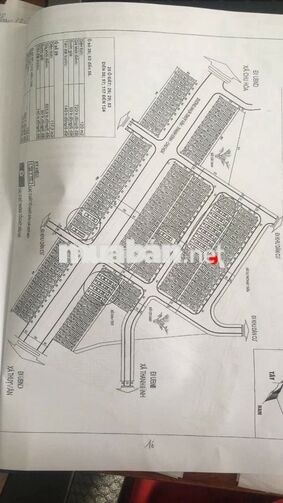 ĐẤT NỀN 120m2, ĐƯỜNG 12M, BĂNG 4 KHU DC ĐỒNG MỒNG XUNG, THANH ĐÌNH, VT