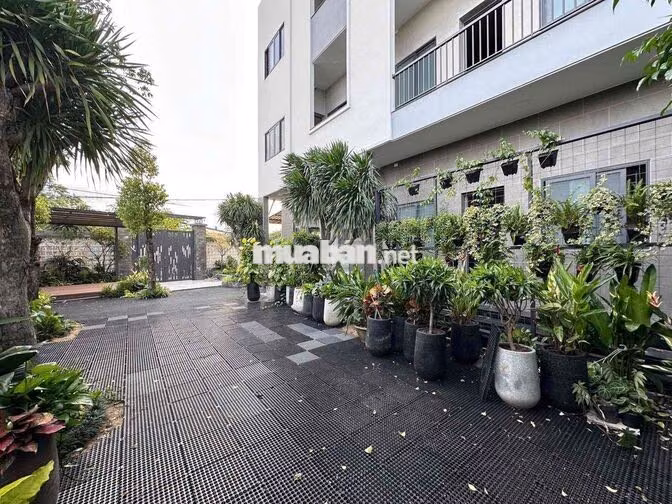 CĂN HỘ MINI GIÁ RẺ NGAY NGUYỄN THỊ TÚ BÌNH TÂN ĐỦ NỘI THẤT CỬA SỔ MỚI