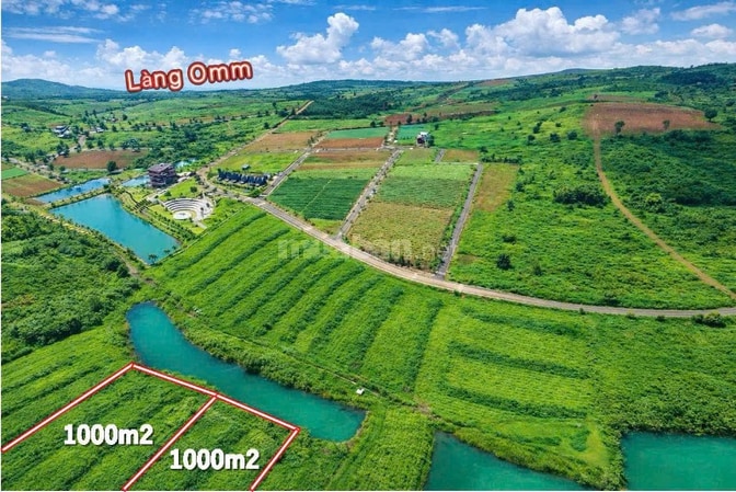 💰 500 TRIỆU – BẠN SẼ CHỌN GIỮ TIỀN HAY SỞ HỮU MỘT TÀI SẢN?