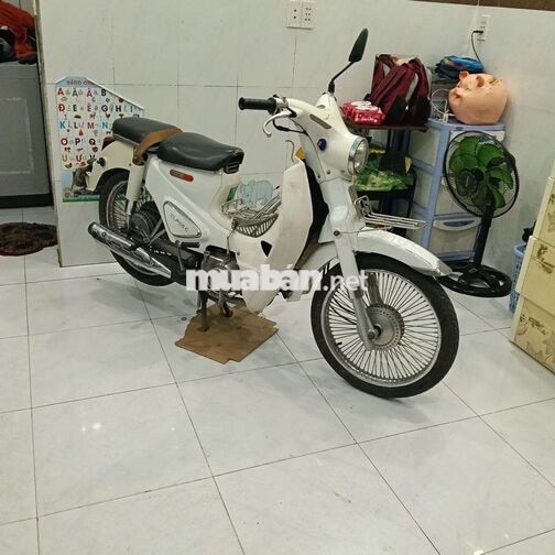  Cub Ally Classic 50cc Trắng